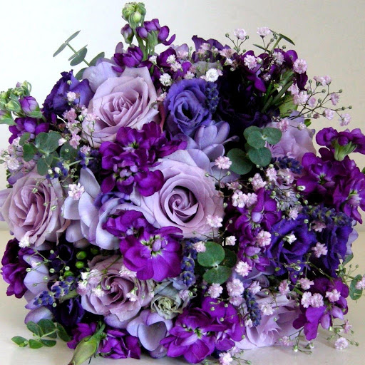 Hd-146405-ascw146405