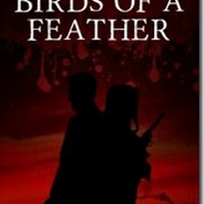 Orangeberry Book of the Day – Birds of A Feather by Kara Stefanowich