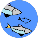 Image Google de Océane Brochard