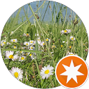 Image Google de SiiN