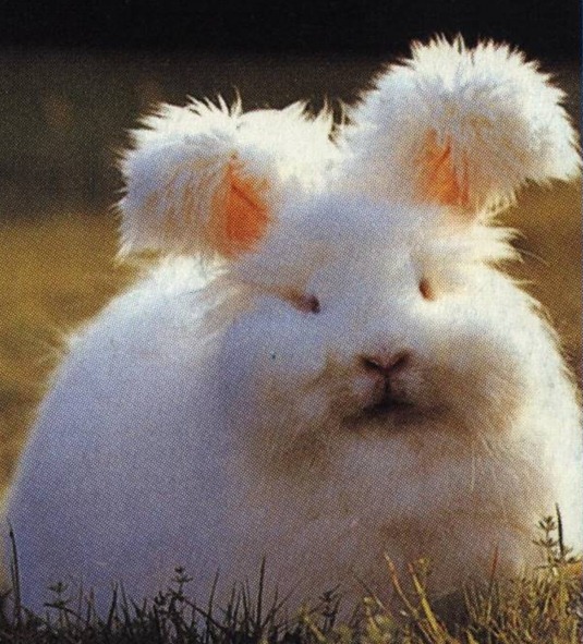 [post-11-1150043788%255B8%255D.jpg]