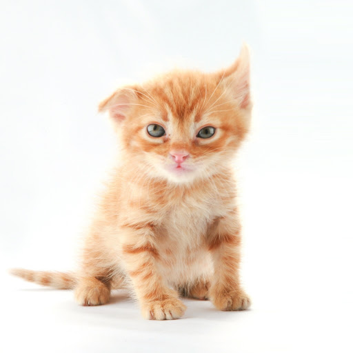 Hd-151996-ascw151996