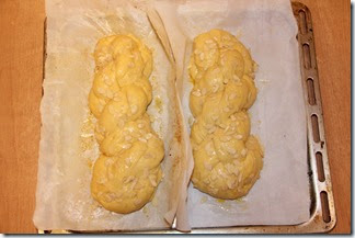 IMG_0470 IMG_0470