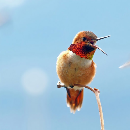 Hd-178905-ascw178905