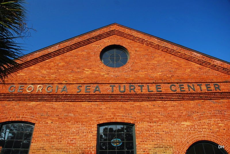 [03-21-15-A-GA-Sea-Life-Turtle-Center.jpg]