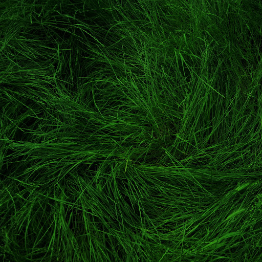 Hd-131043-ascw131043