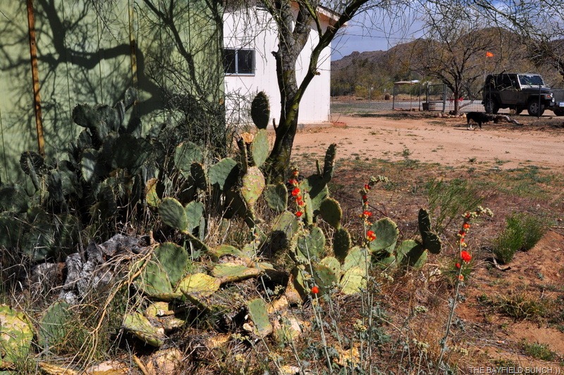 [DSC_0053%255B4%255D.jpg]