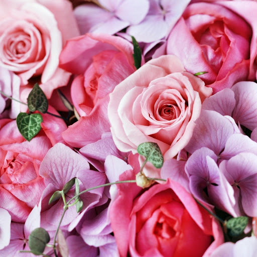 Hd-171368-ascw171368