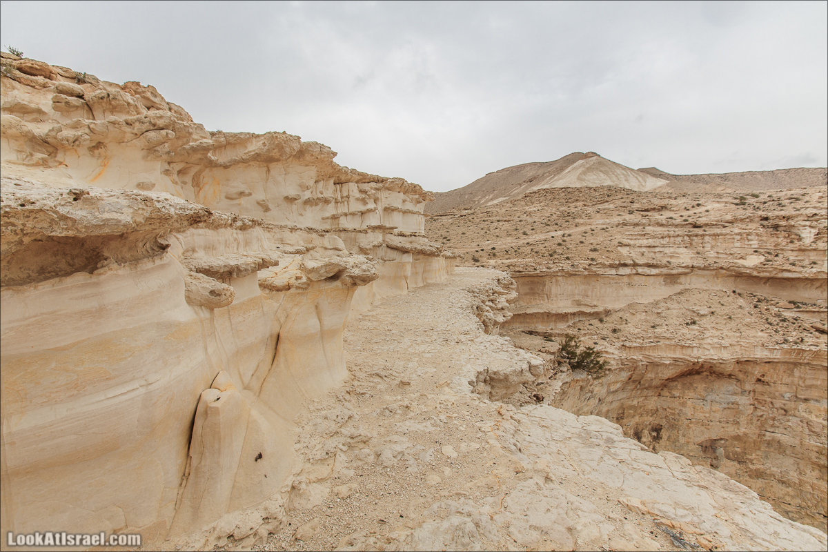 Лунные пейзажи пустыни Негев | Lunar landscapes of the Negev | LookAtIsrael.com - Фото путешествия по Израилю