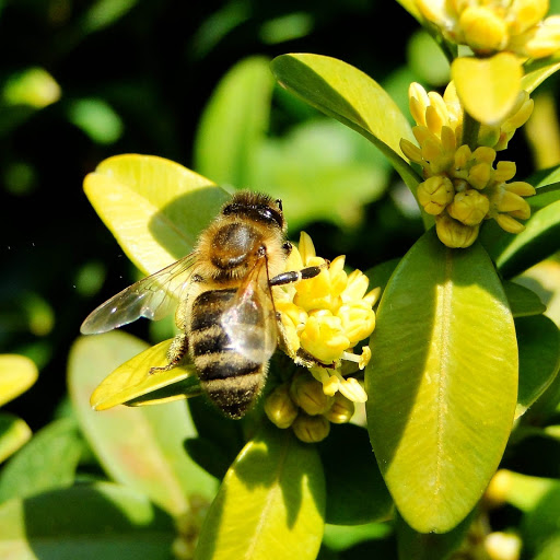 Hd-152852-ascw152852