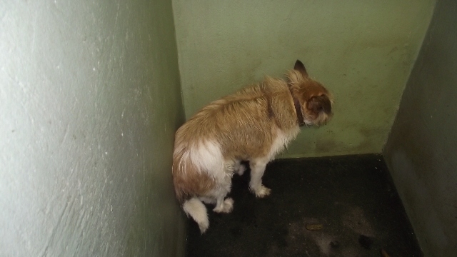 DSCF3832.JPG