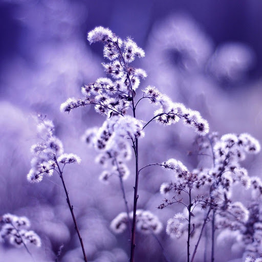 Hd-154165-ascw154165