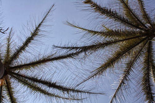 20100301 (14) (Large)