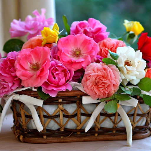 Hd-177955-ascw177955