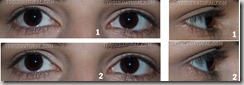 Rímel - Mascara para olhos 2 em 1 efeito cílios postiços Flamingo1