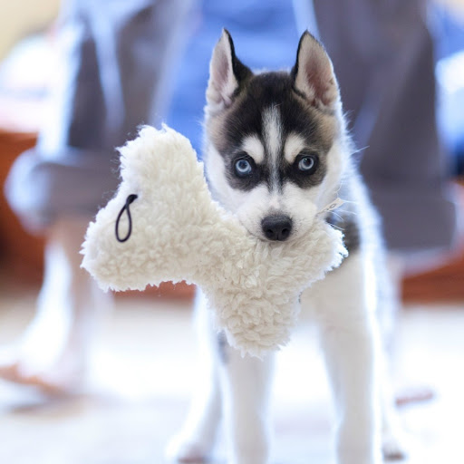 Hd-179949-ascw179949