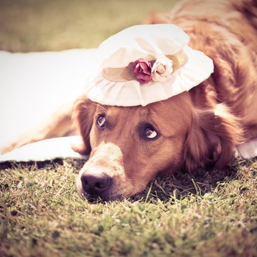 Hd-140833-ascw140833