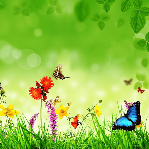 Hd-151916-ascw151916