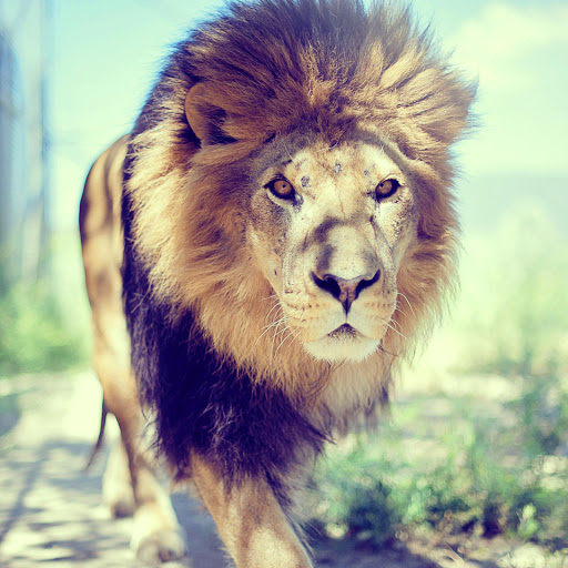 Hd-138154-ascw138154