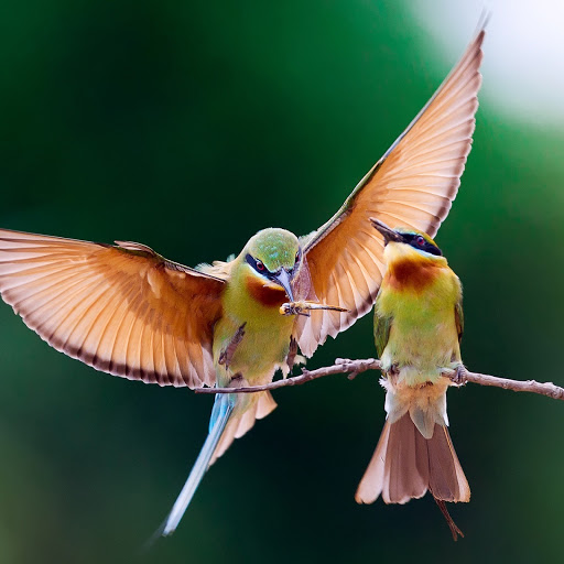 Hd-145271-ascw145271