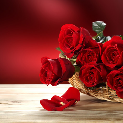 Hd-171595-ascw171595