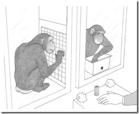 chimp-help