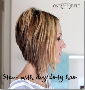 Start with dry, dirty hair