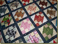 quilts and things 010