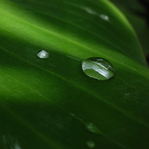 Hd-132059-ascw132059