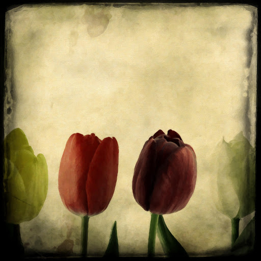 Hd-162109-ascw162109