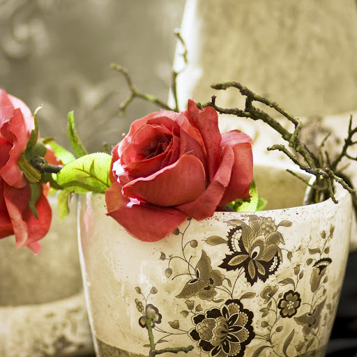 Hd-152494-ascw152494