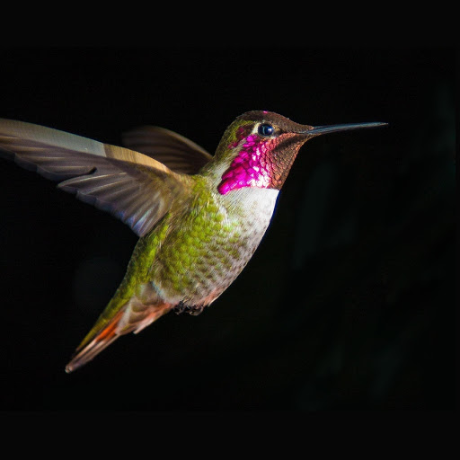 Hd-161043-ascw161043