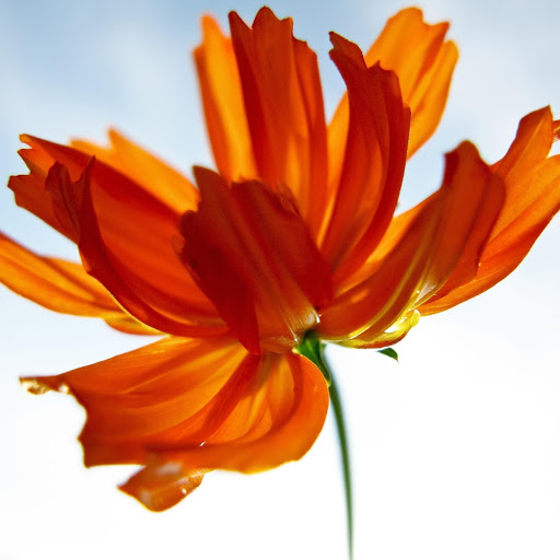 Hd-175231-ascw175231