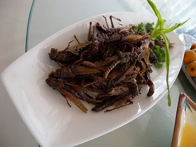 tkp-gila.blogspot.com - Foto : Makanan Menjijikan dari China