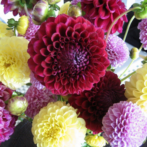 Hd-148754-ascw148754