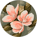 Image Google de anne AUMONT