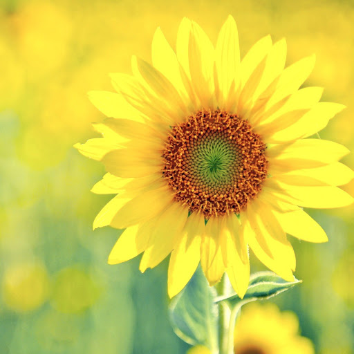 Hd-146542-ascw146542