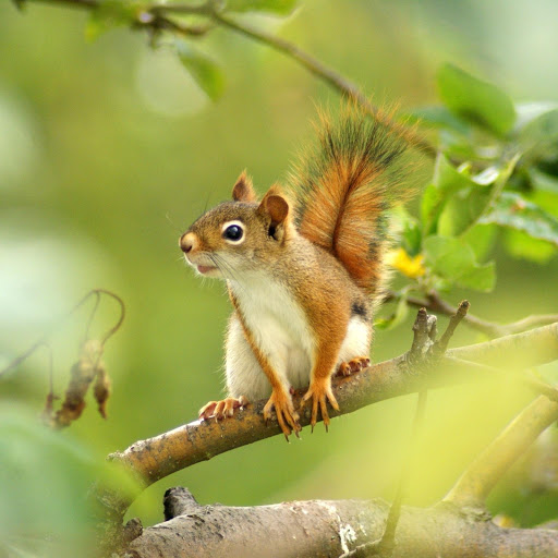 Hd-178582-ascw178582