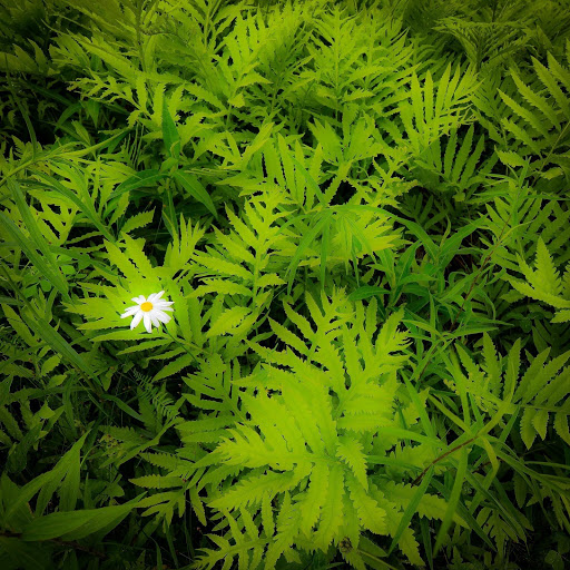 Hd-159139-ascw159139