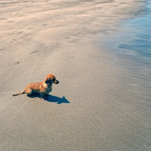 Hd-174768-ascw174768