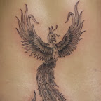 phoenix - tattoo meanings