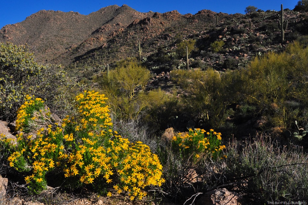 [DSC_0017%255B4%255D.jpg]