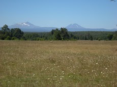 DSCN7266.JPG