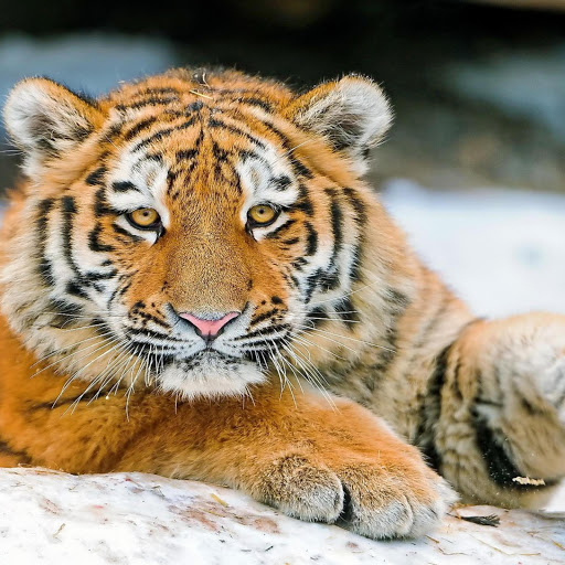 Hd-168627-ascw168627