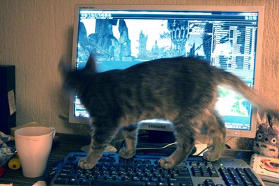 The Gamer Cat is playing with Perpetuum Online