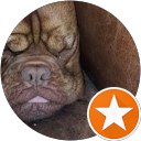 Image Google de Nucleoz_chiczy