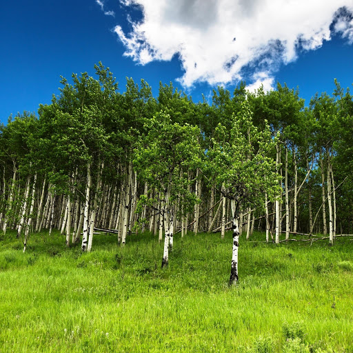 Hd-158781-ascw158781