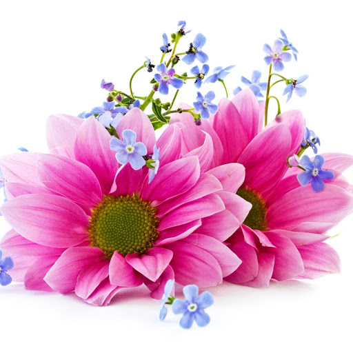 Hd-147423-ascw147423