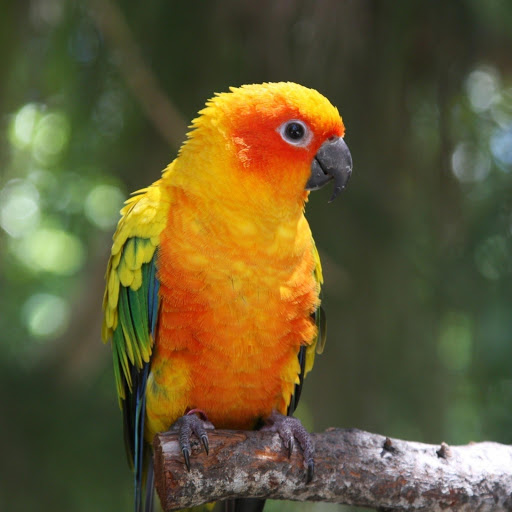 Hd-178516-ascw178516