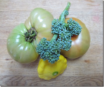 Tomatoes, patty pan and broccoli